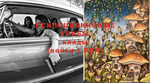 спиды Медногорск