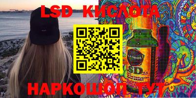 спиды Камышлов