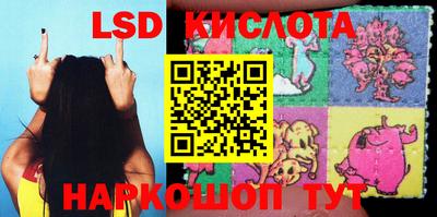 спиды Камышлов