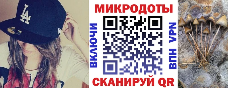 KRAKEN онион  Строитель  Псилоцибиновые грибы MAGIC MUSHROOMS 