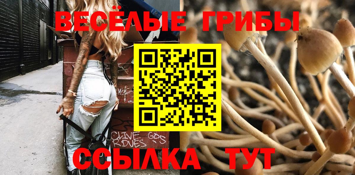 Псилоцибиновые грибы мицелий Строитель