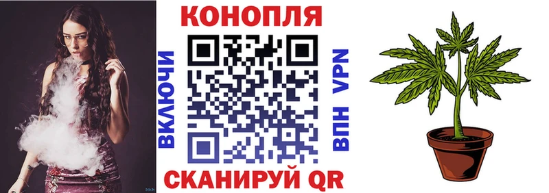 продажа наркотиков  Строитель  Шишки марихуана SATIVA & INDICA 